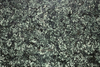 Natural Granite Stone Chrysanthemum Green