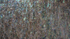 Semi Precious Stone abalone mother of pearl multiple color Slab