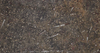 Moroccan Fossil Stone Marble Slab 