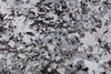 Snow Blue brazil quartzite marble